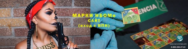 сатива Вязники