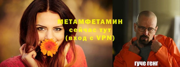 индика Нязепетровск