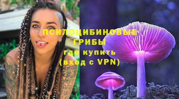 сатива Вязники