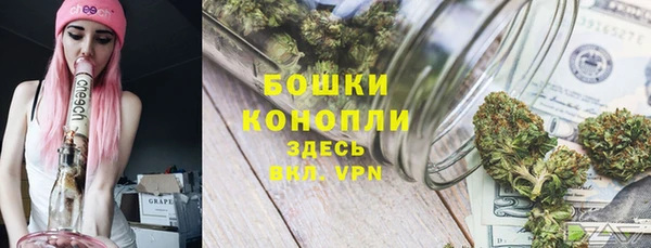 Альфа ПВП Вязьма