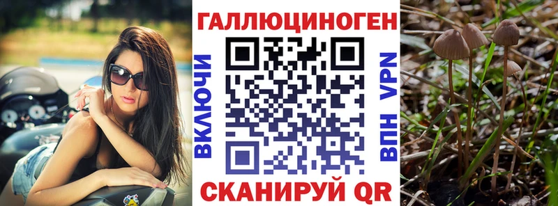 Псилоцибиновые грибы мицелий  kraken   Ноябрьск 