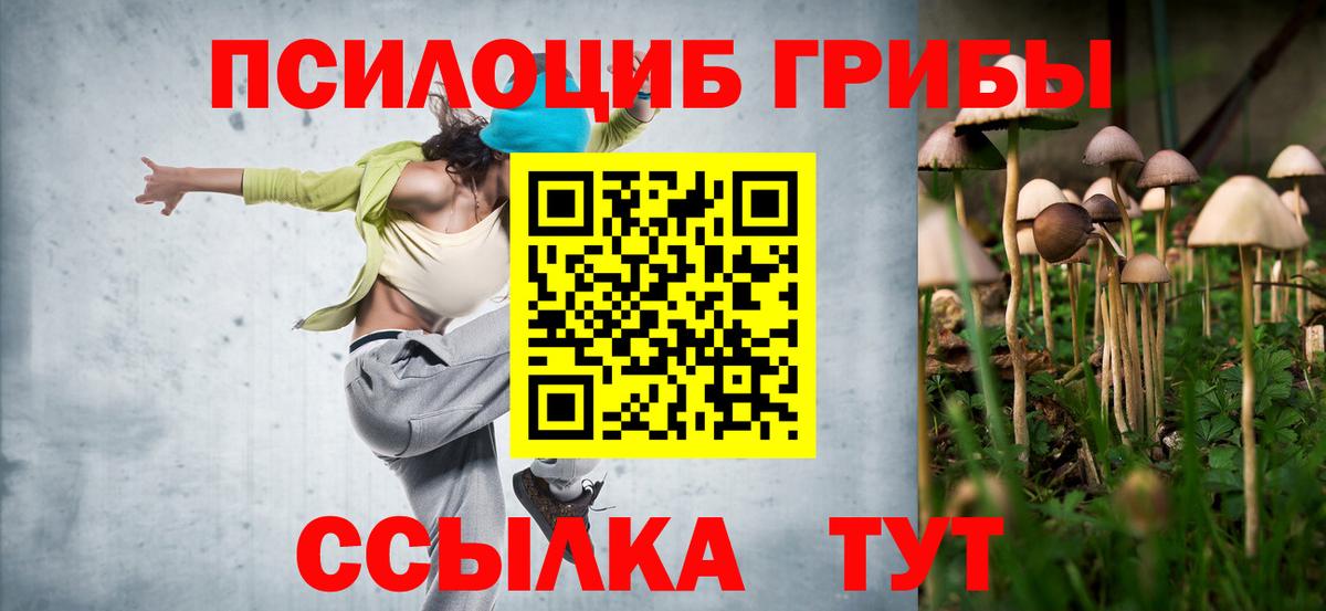 Псилоцибиновые грибы мицелий  Вход с VPN  Ноябрьск 